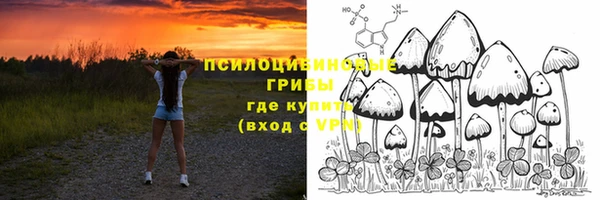 мдпв Костерёво