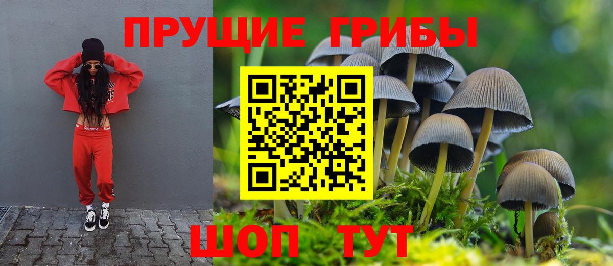 Галлюциногенные грибы мухоморы Новокузнецк