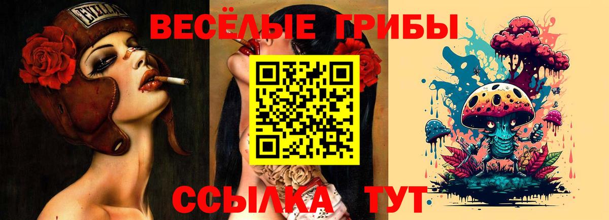 Новокузнецк  Галлюциногенные грибы ЛСД  Вход с VPN 